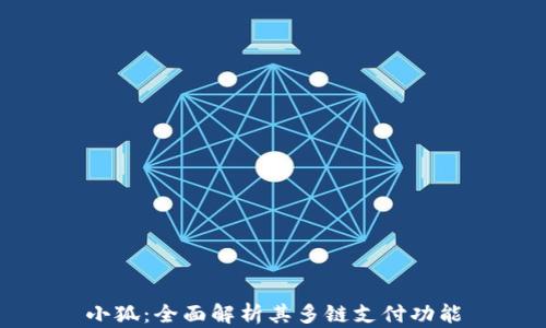 
小狐：全面解析其多链支付功能