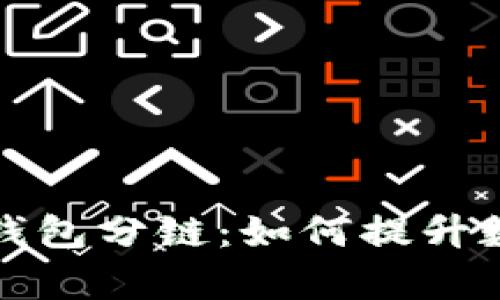 全方位解析小狐钱包分链：如何提升数字资产管理效率