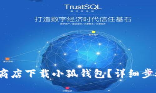  如何在谷歌商店下载小狐钱包？详细步骤和注意事项