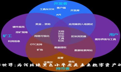 探索Web3世界：为何珐琅黑色小牛皮是未来数字资产的理想选择