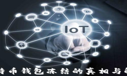 
揭秘比特币钱包冻结的真相与解决方法