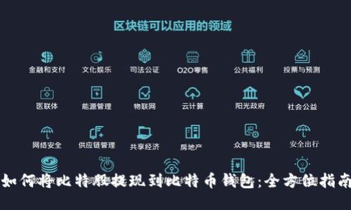 如何将比特股提现到比特币钱包：全方位指南