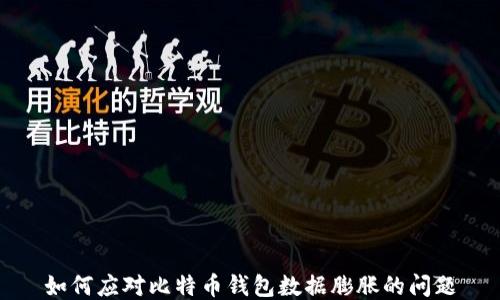 
如何应对比特币钱包数据膨胀的问题