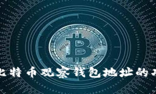 深入解读比特币观察钱包地址的功能与意义