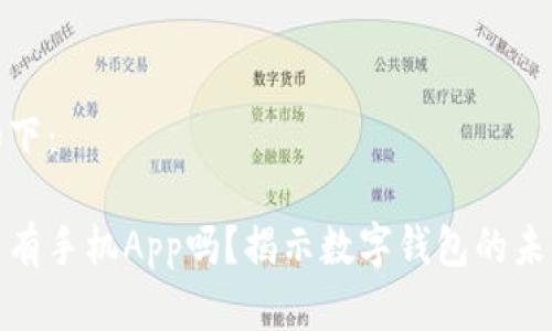 和关键词如下：

小狐钱包没有手机App吗？揭示数字钱包的未来发展方向