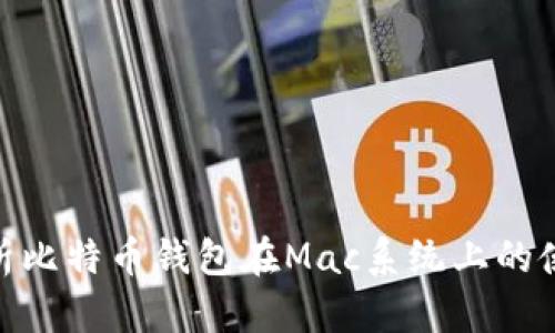 : 全面解析比特币钱包在Mac系统上的使用与选择