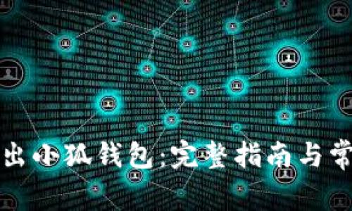 如何安全退出小狐钱包：完整指南与常见问题解答