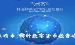 Vpay钱包与比特币：哪种数字货币投资方式更为适