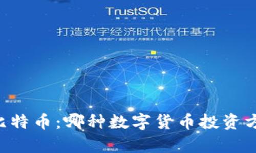 Vpay钱包与比特币:哪种数字货币投资方式更为适合?