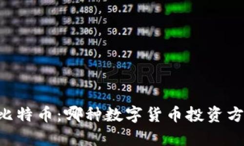 Vpay钱包与比特币：哪种数字货币投资方式更为适合？