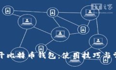 如何快速打开比特币钱包：使用技巧与常见问题