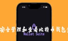 如何安全管理和查看比特币钱包金额？