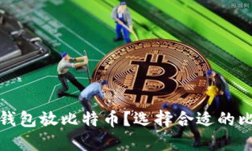 : 一般用什么钱包放比特币？选择合适的比特币钱包指南