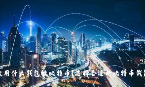 : 一般用什么钱包放比特币？选择合适的比特币钱包指南